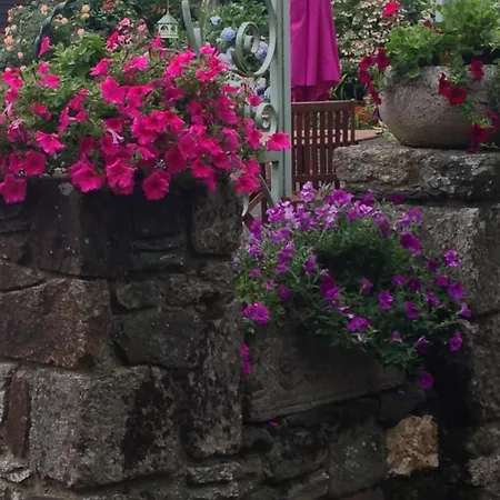 Apartmán Le Petit Chateau, Matisse Noyal-Pontivy